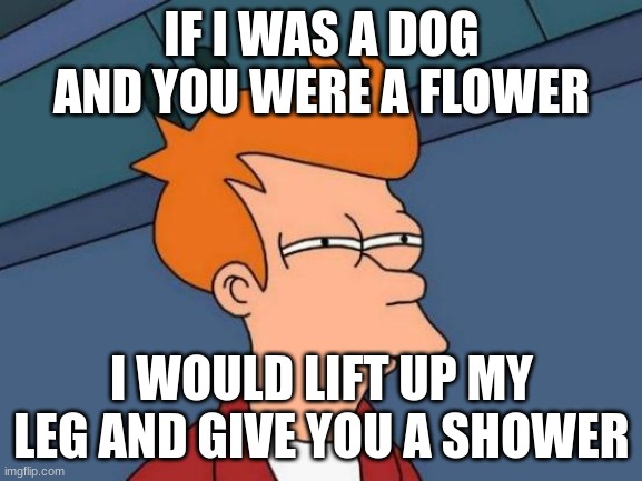 Futurama Fry | IF I WAS A DOG AND YOU WERE A FLOWER; I WOULD LIFT UP MY LEG AND GIVE YOU A SHOWER | image tagged in memes,futurama fry | made w/ Imgflip meme maker