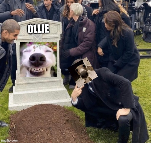 veshremy at ollie's grave | OLLIE | image tagged in grant gustin over grave | made w/ Imgflip meme maker