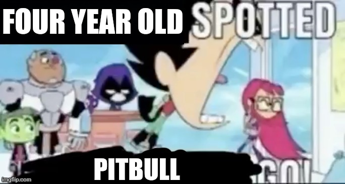 ____ spotted ____ go! | FOUR YEAR OLD; PITBULL | image tagged in ____ spotted ____ go | made w/ Imgflip meme maker