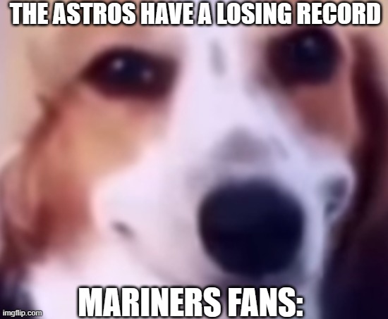 Mariner Dog | THE ASTROS HAVE A LOSING RECORD; MARINERS FANS: | image tagged in dog sus | made w/ Imgflip meme maker