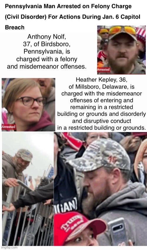 Arrested | image tagged in traitors,domestic terrorists,losers,treason,if innocent   why hide,cowardly sheep | made w/ Imgflip meme maker