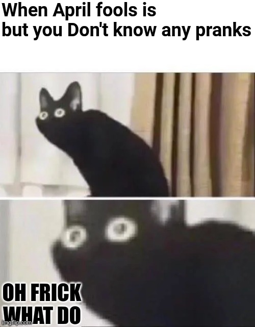 oH nO wHaT dO | When April fools is but you Don't know any pranks; OH FRICK WHAT DO | image tagged in oh no black cat | made w/ Imgflip meme maker