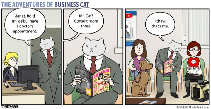 The Adventures of Business Cat #17 | made w/ Imgflip meme maker