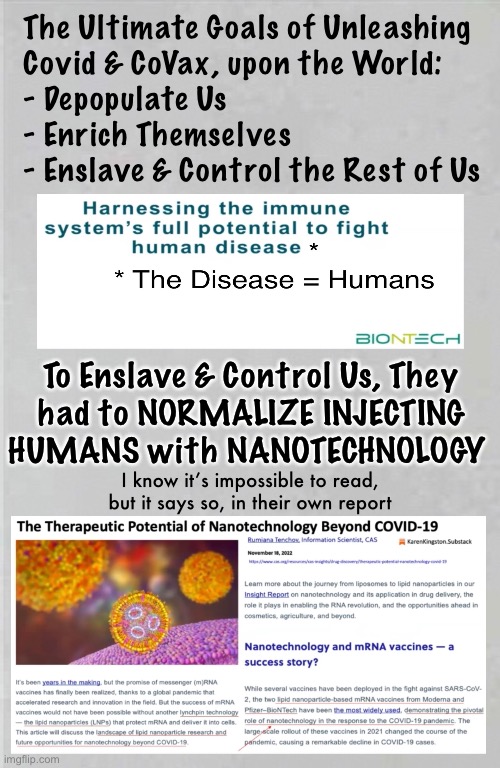 They Say So, Themselves | The Ultimate Goals of Unleashing
Covid & CoVax, upon the World:
- Depopulate Us
- Enrich Themselves
- Enslave & Control the Rest of Us; To Enslave & Control Us, They
had to NORMALIZE INJECTING
HUMANS with NANOTECHNOLOGY; I know it’s impossible to read,
but it says so, in their own report | image tagged in memes,nanotech injected into your body,not mine,total n complete control of humans,like robots,kissmyass globalists n fjb voters | made w/ Imgflip meme maker