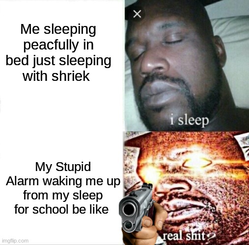 Can you relate?? | Me sleeping peacfully in bed just sleeping with shriek; My Stupid Alarm waking me up from my sleep for school be like | image tagged in memes,sleeping shaq,relatable memes | made w/ Imgflip meme maker