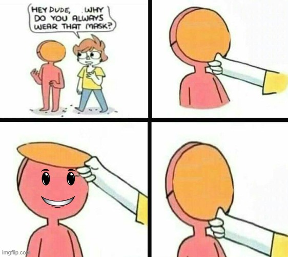 hey dude why do you always wear that mask | image tagged in hey dude why do you always wear that mask | made w/ Imgflip meme maker