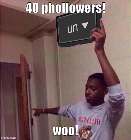 resubmitted because I accidentally put the phorbidden letter in there | 40 phollowers! woo! | image tagged in go back to un stream | made w/ Imgflip meme maker