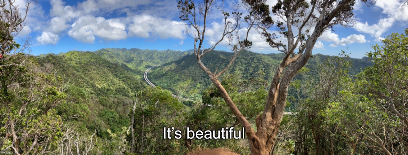 It’s beautiful | made w/ Imgflip meme maker