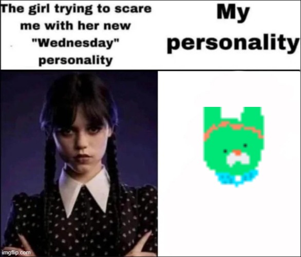 The girl trying to scare me with her new Wednesday personality | image tagged in the girl trying to scare me with her new wednesday personality | made w/ Imgflip meme maker
