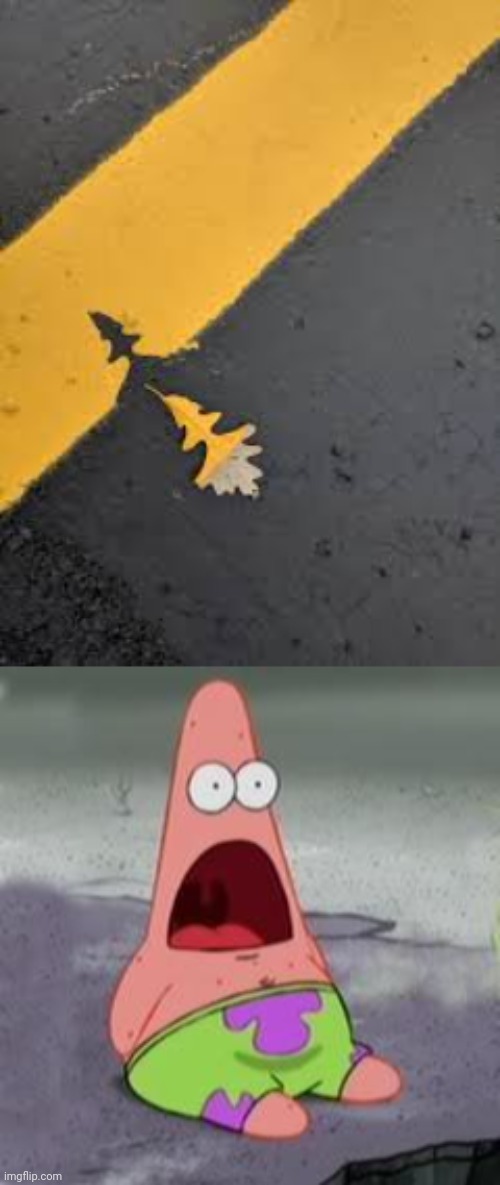 Road leaf painting | image tagged in suprised patrick,you had one job,road,leaf,painting,memes | made w/ Imgflip meme maker