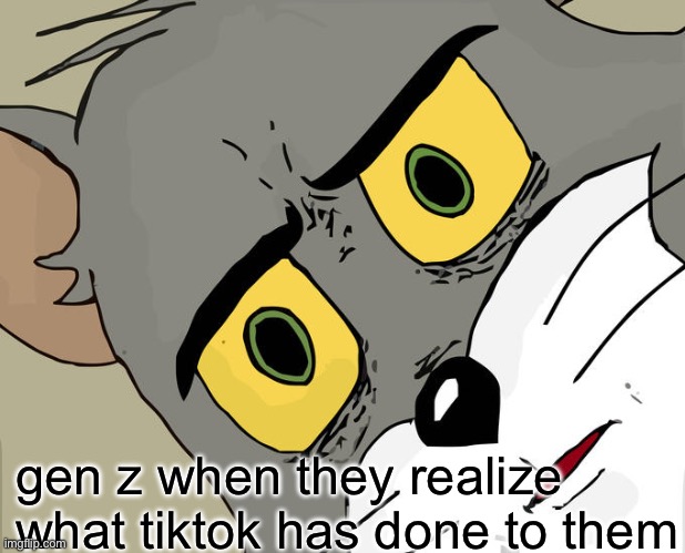 it’s a good thing tiktok will be deleted, right? | gen z when they realize what tiktok has done to them | image tagged in memes,unsettled tom | made w/ Imgflip meme maker