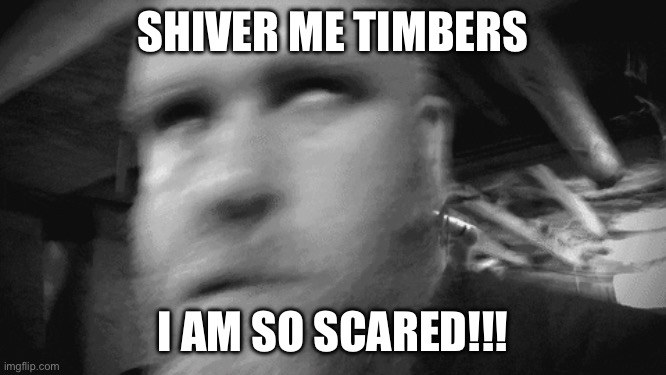 SHIVER ME TIMBERS I AM SO SCARED!!! | image tagged in trembling | made w/ Imgflip meme maker