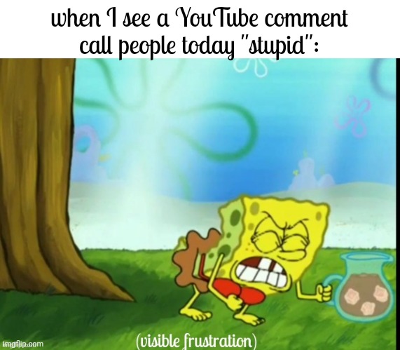 visible frustration | when I see a YouTube comment call people today "stupid": | image tagged in visible frustration | made w/ Imgflip meme maker