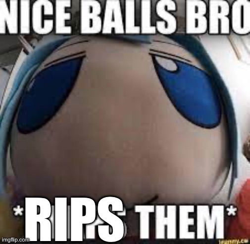 nice balls bro | RIPS | image tagged in nice balls bro | made w/ Imgflip meme maker