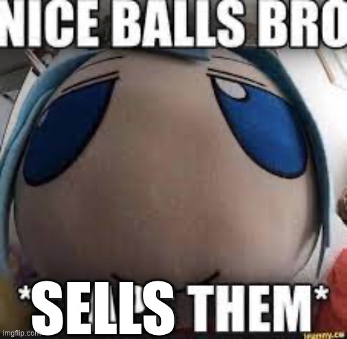 nice balls bro | SELLS | image tagged in nice balls bro | made w/ Imgflip meme maker