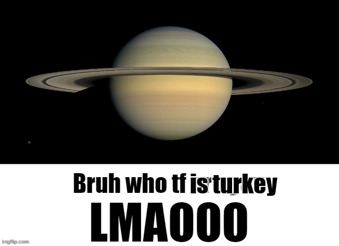 Bruh who tf are you LMAOOO | is turkey | image tagged in bruh who tf are you lmaooo | made w/ Imgflip meme maker
