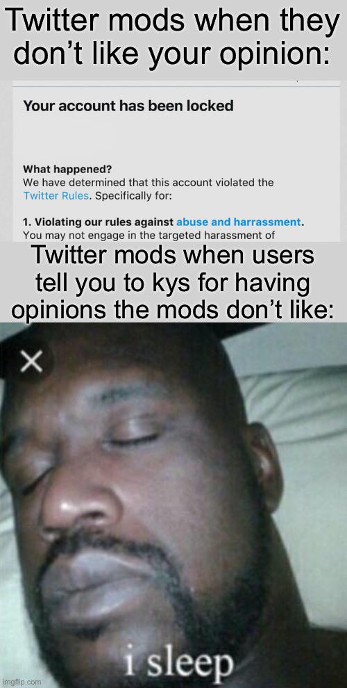 fr | Twitter mods when they don’t like your opinion:; Twitter mods when users tell you to kys for having opinions the mods don’t like: | image tagged in memes,sleeping shaq,twitter,wtf,hypocrisy,moderators | made w/ Imgflip meme maker