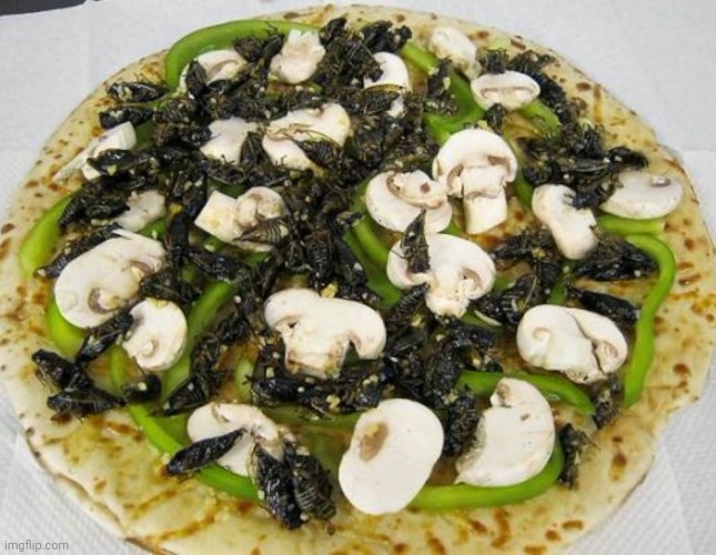 This is the worst pizza. Just ever. When I first saw this, I thought it was leaves. | made w/ Imgflip meme maker