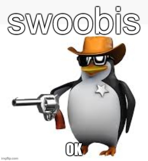 Swoobis | OK | image tagged in swoobis | made w/ Imgflip meme maker