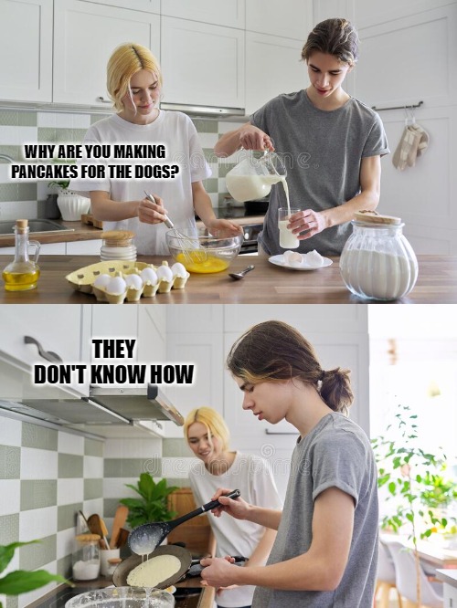 making pancakes | WHY ARE YOU MAKING PANCAKES FOR THE DOGS? THEY DON'T KNOW HOW | image tagged in making pancakes,dogs | made w/ Imgflip meme maker