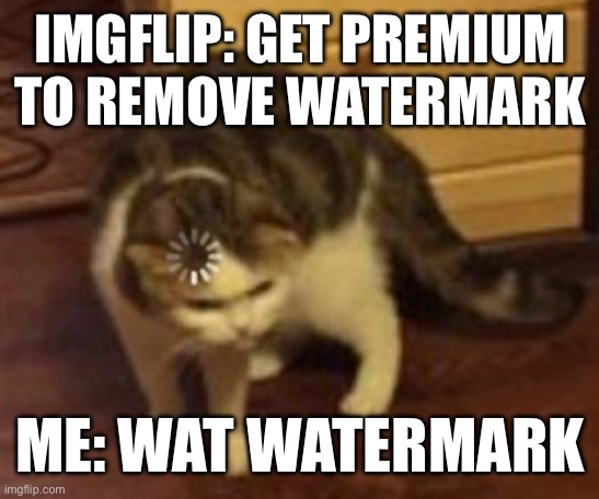 I seriously didn't know | IMGFLIP: GET PREMIUM TO REMOVE WATERMARK; ME: WAT WATERMARK | image tagged in loading cat | made w/ Imgflip meme maker