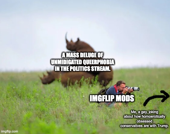 The Imgflip mods don't care about queer people. | A MASS DELUGE OF UNMIDIGATED QUEERPHOBIA IN THE POLITICS STREAM. IMGFLIP MODS; Me, a gay, joking about how homoerotically obsessed conservatives are with Trump. | image tagged in rhinoceros and photographer,imgflip,lgbtq,homophobia | made w/ Imgflip meme maker