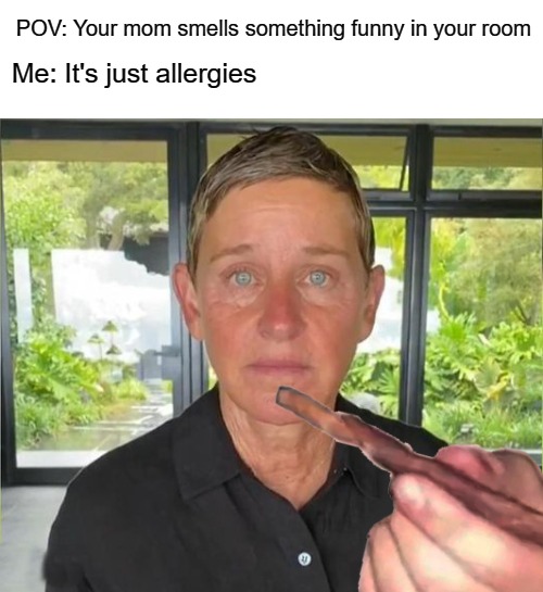 Ellen stoned | POV: Your mom smells something funny in your room; Me: It's just allergies | image tagged in ellen stoned | made w/ Imgflip meme maker