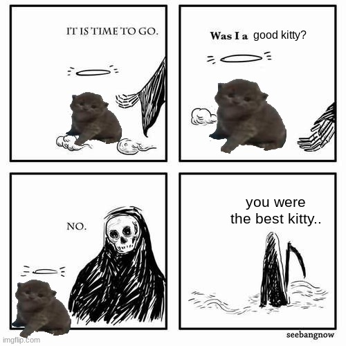 It is time to go | good kitty? you were the best kitty.. | image tagged in it is time to go | made w/ Imgflip meme maker