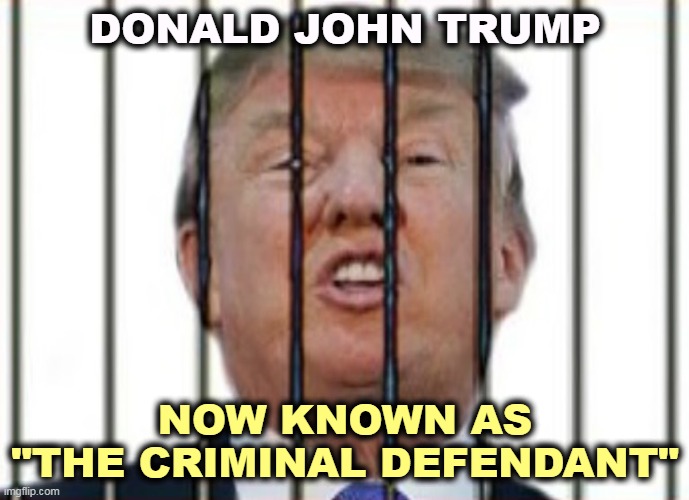Hey Donnie, you've got a new name. | DONALD JOHN TRUMP; NOW KNOWN AS
"THE CRIMINAL DEFENDANT" | image tagged in donald trump for prison,donald trump,criminal,defendant,lock him up | made w/ Imgflip meme maker