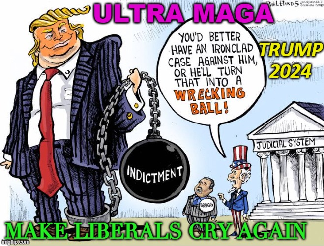 ULTRA MAGA | ULTRA MAGA; TRUMP 2024; MAKE LIBERALS CRY AGAIN | image tagged in political cartoon | made w/ Imgflip meme maker