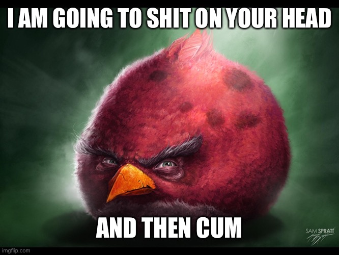 Realistic Angry Bird (big red) | I AM GOING TO SHIT ON YOUR HEAD AND THEN CUM | image tagged in realistic angry bird big red | made w/ Imgflip meme maker