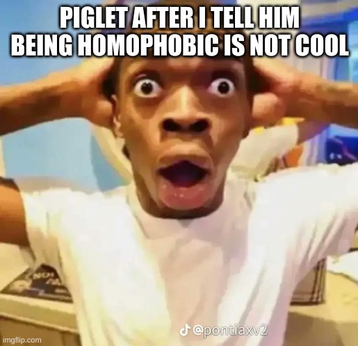 Shocked black guy | PIGLET AFTER I TELL HIM BEING HOMOPHOBIC IS NOT COOL | image tagged in shocked black guy | made w/ Imgflip meme maker