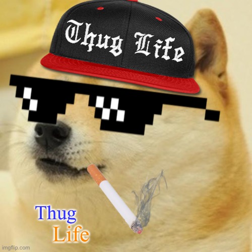 Doge | Thug; Life | image tagged in doge | made w/ Imgflip meme maker