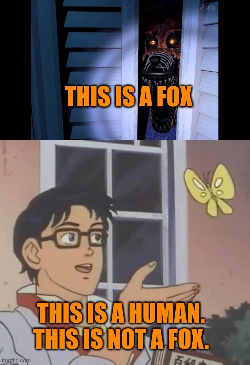 Important fox facts | THIS IS A FOX; THIS IS A HUMAN. THIS IS NOT A FOX. | image tagged in foxy fnaf 4,memes,is this a pigeon | made w/ Imgflip meme maker