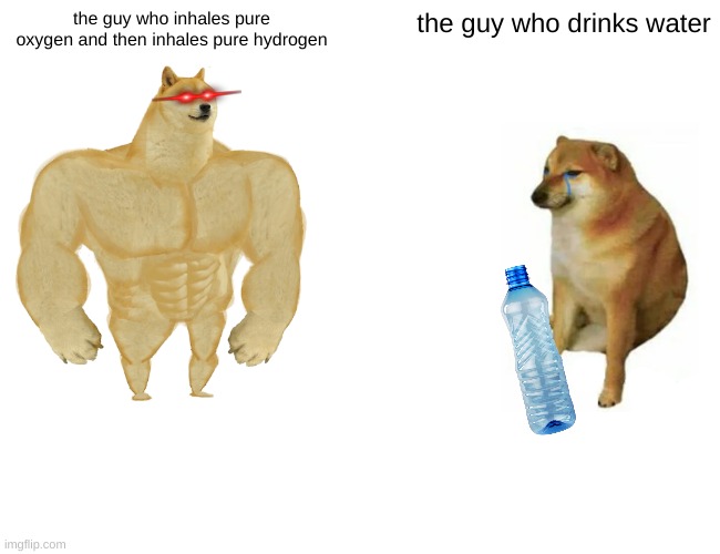 wather. | the guy who inhales pure oxygen and then inhales pure hydrogen; the guy who drinks water | image tagged in memes,buff doge vs cheems,water,funny,oxygen,hydrogen | made w/ Imgflip meme maker