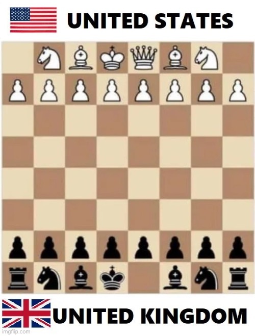 the queen 911 chess meme｜TikTok Search