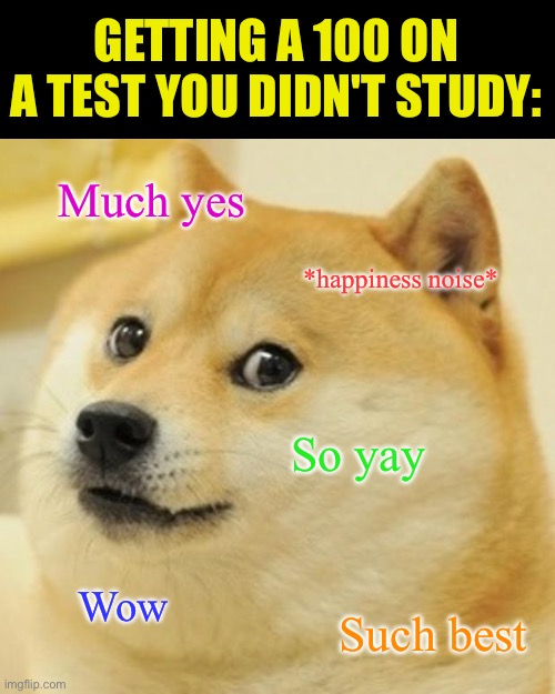 This happened to me a few days ago | GETTING A 100 ON A TEST YOU DIDN'T STUDY:; Much yes; *happiness noise*; So yay; Wow; Such best | image tagged in memes,doge,gifs | made w/ Imgflip meme maker