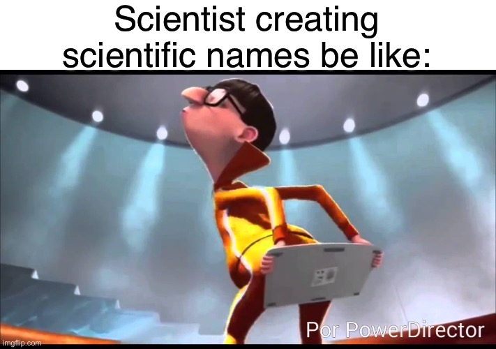 True story | Scientist creating scientific names be like: | image tagged in vector keyboard,memes,funny,so true memes | made w/ Imgflip meme maker