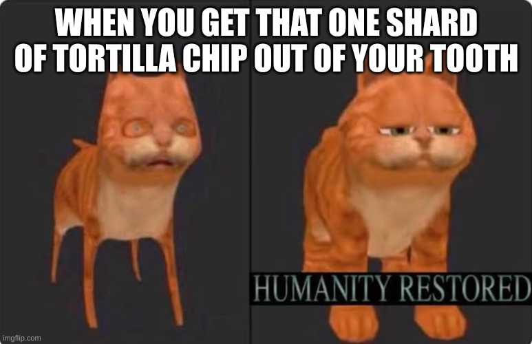 humanity restored | WHEN YOU GET THAT ONE SHARD OF TORTILLA CHIP OUT OF YOUR TOOTH | image tagged in humanity restored | made w/ Imgflip meme maker