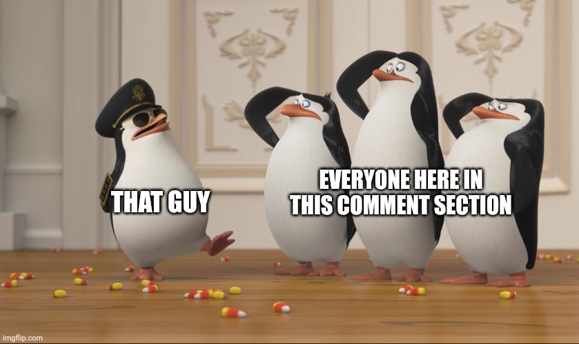 Saluting skipper | THAT GUY EVERYONE HERE IN THIS COMMENT SECTION | image tagged in saluting skipper | made w/ Imgflip meme maker