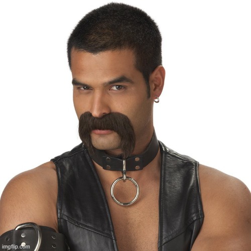 leather mustache | image tagged in leather mustache | made w/ Imgflip meme maker