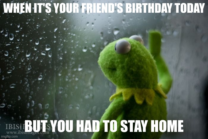 I kinda feel bad because the same thing happened last year | WHEN IT'S YOUR FRIEND'S BIRTHDAY TODAY; BUT YOU HAD TO STAY HOME | image tagged in kermit window,true story | made w/ Imgflip meme maker