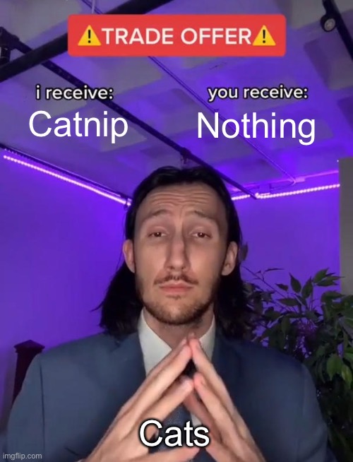 Trade Offer | Catnip Nothing Cats | image tagged in trade offer | made w/ Imgflip meme maker