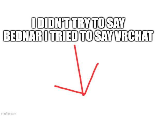 I DIDN'T TRY TO SAY BEDNAR I TRIED TO SAY VRCHAT | made w/ Imgflip meme maker