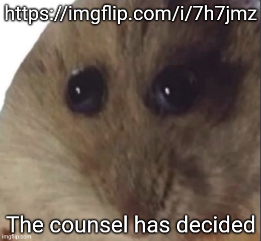 Hampter | https://imgflip.com/i/7h7jmz; The counsel has decided | image tagged in hampter | made w/ Imgflip meme maker