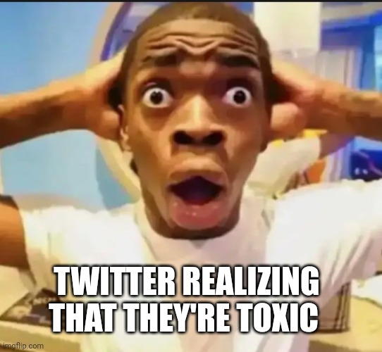 Look at this meme now! | TWITTER REALIZING THAT THEY'RE TOXIC | image tagged in surprised black guy | made w/ Imgflip meme maker