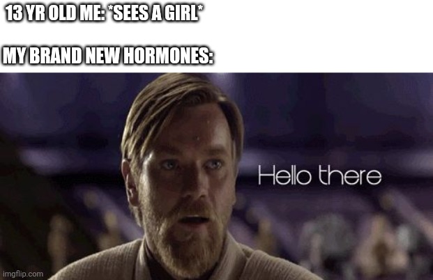 Darn you new hormones every 3 days!!! | 13 YR OLD ME: *SEES A GIRL*; MY BRAND NEW HORMONES: | image tagged in obi wan hello there,relatable memes,funny,memes | made w/ Imgflip meme maker