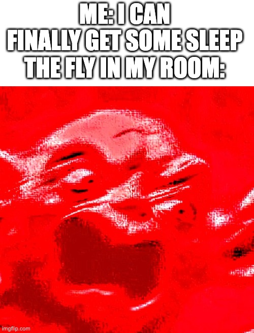 VERY LOUD SCREAMING | ME: I CAN FINALLY GET SOME SLEEP; THE FLY IN MY ROOM: | image tagged in very loud screaming | made w/ Imgflip meme maker