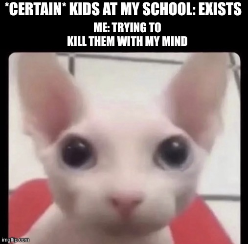 Mainly the annoying ones like me | ME: TRYING TO KILL THEM WITH MY MIND; *CERTAIN* KIDS AT MY SCHOOL: EXISTS | image tagged in sphinx stare | made w/ Imgflip meme maker