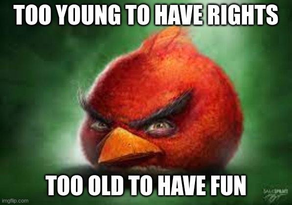 Realistic Red Angry Birds | TOO YOUNG TO HAVE RIGHTS TOO OLD TO HAVE FUN | image tagged in realistic red angry birds | made w/ Imgflip meme maker